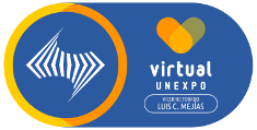 Soporte Virtual Unexpo